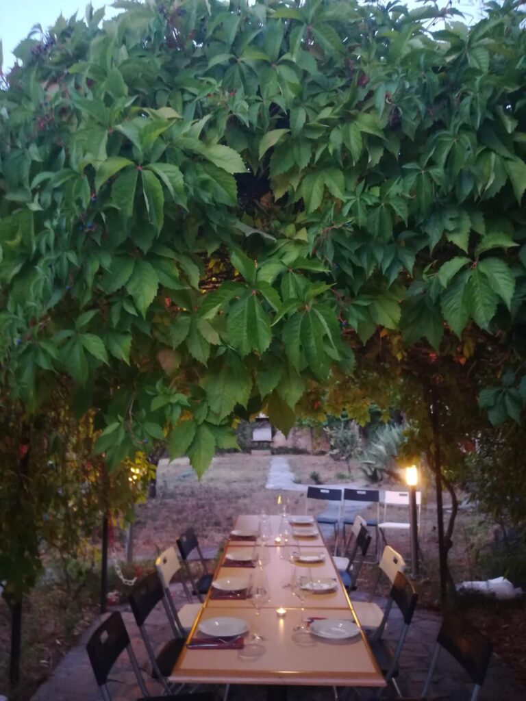 TERRAZA con naturaleza